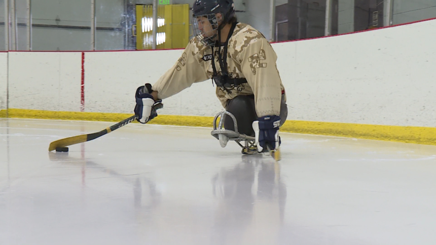 sled hockey