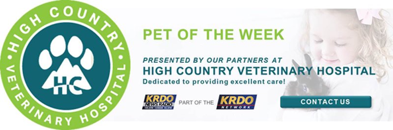 Pet of the Week Presented by High Country Veterinary Hospital