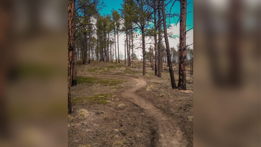 fire in pueblo