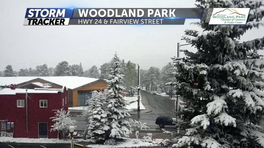 Woodland Park Snow