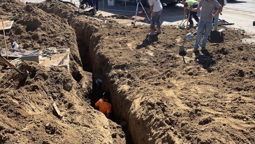 CSFD trench rescue Cropped