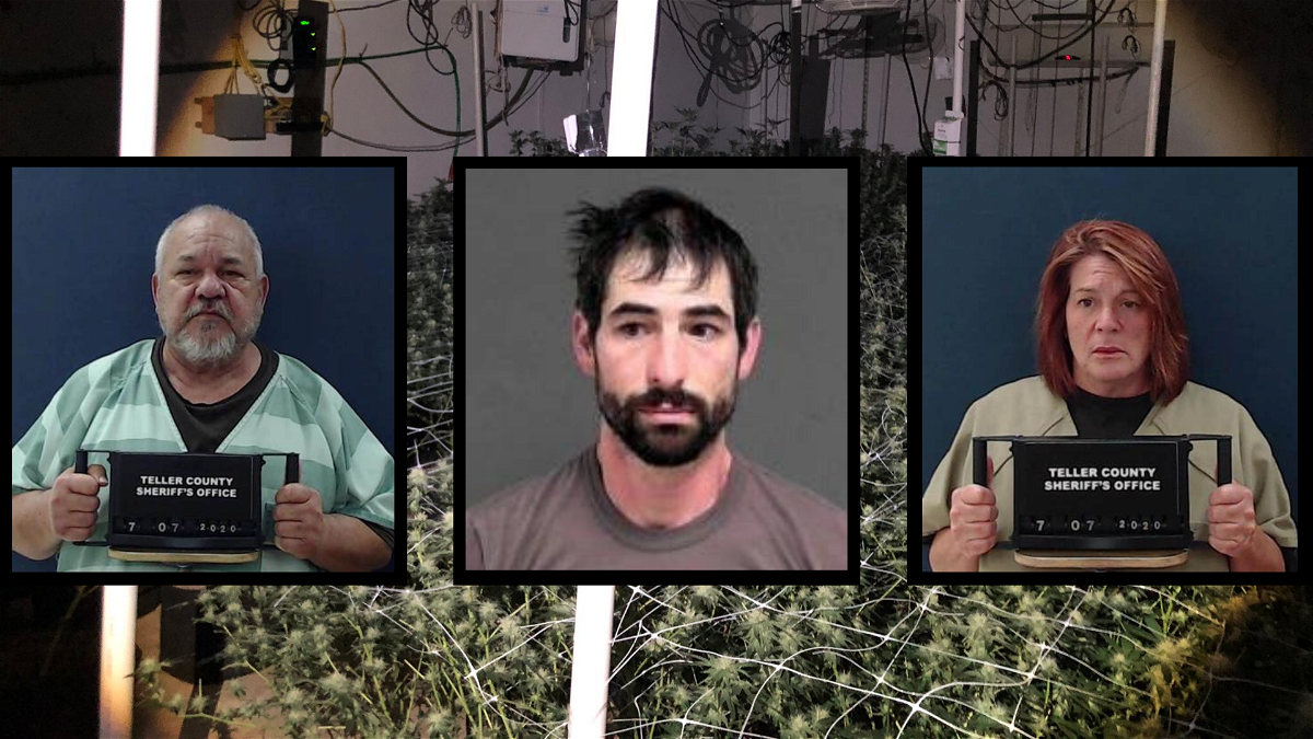 Detectives bust ring of illegal marijuana grows in Divide, Colorado ...