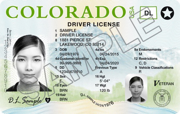 colorado driver license