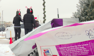 Harley's Hope drive-thru pet food pantry in the Church For All Nations parking lot in Colorado Springs