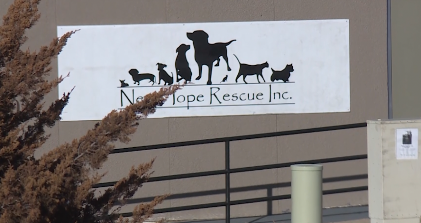 State launches investigation into Colorado Springs animal rescue | KRDO