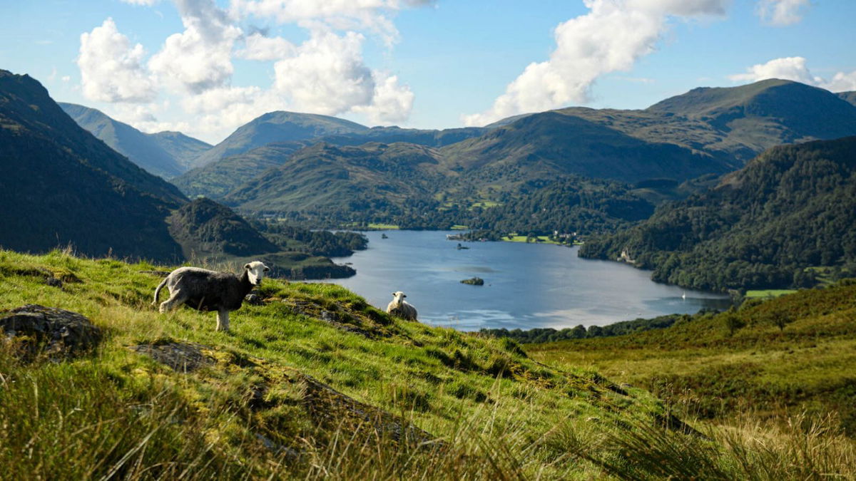 <i>OLI SCARFF/AFP via Getty Images</i><br/>All travelers entering the UK