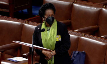 Democratic Rep. Sheila Jackson Lee said she was arrested on July 29 by Capitol Police during a protest on voting rights