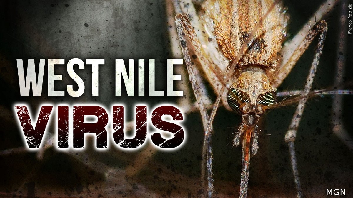 First cases of West Nile virus in Colorado this season KRDO