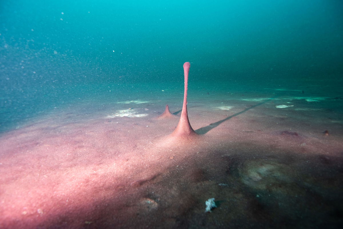 <i>Phil Hartmeyer/NOAA Thunder Bay National Marine Sanctuary</i><br/>Small hills and 