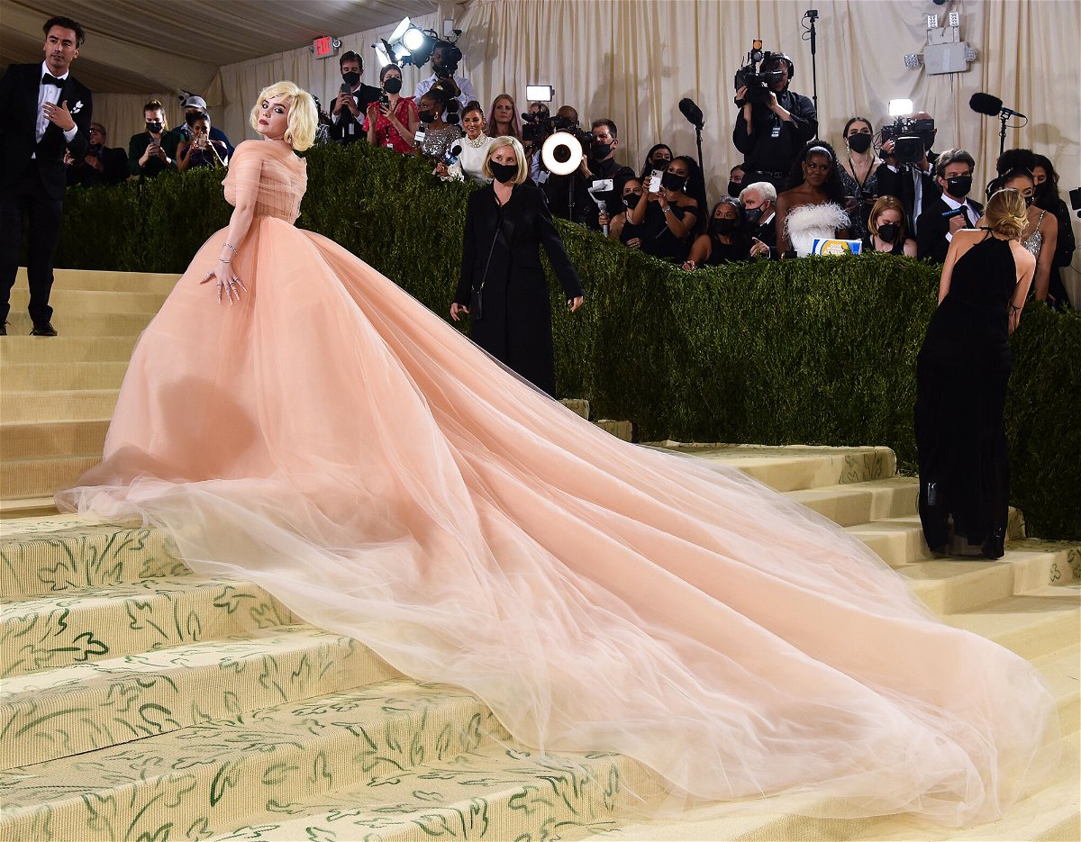 You Voted and Here Are This Year's Winning Met Gala Looks - Elegant