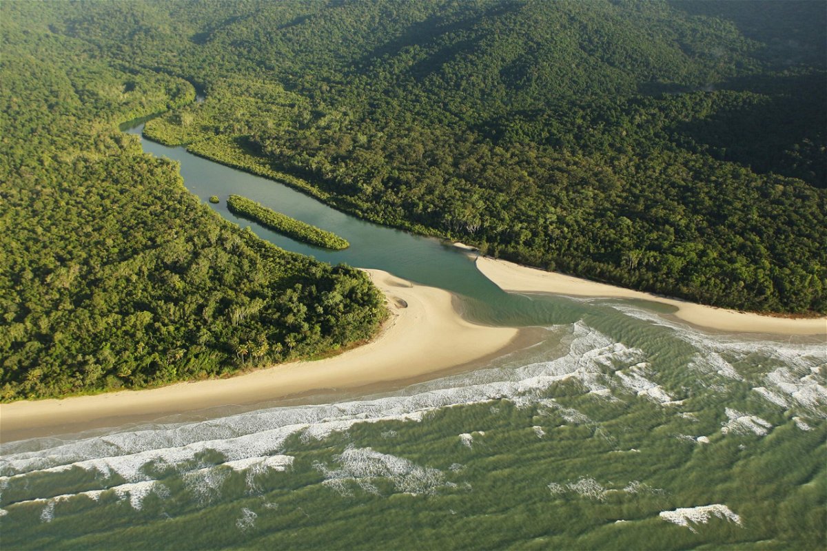 <i>Phil Walter/Getty Images</i><br/>Queensland's Daintree rainforest