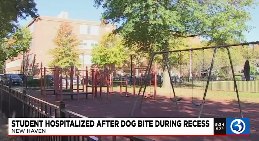 <i>WFSB</i><br/>A New Haven student was taken to the hospital on October 19 after being bitten by a dog during recess.