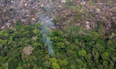 A section of the Amazon rainforest was destroyed by wildfires in 2019 in the Candeias do Jamari region near Porto Velho