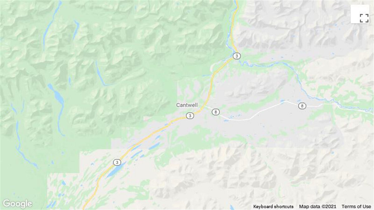 <i>From Google</i><br/>A cyclist survived his run-in with a bear while riding alone in Cantwell