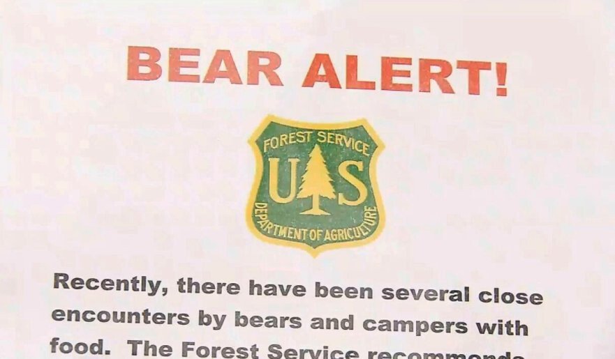 <i>WLOS</i><br/>The North Carolina Wildlife Resource Commission held a virtual meeting Thursday to discuss a proposal to allow bear hunting in three Western North Carolina sanctuaries.