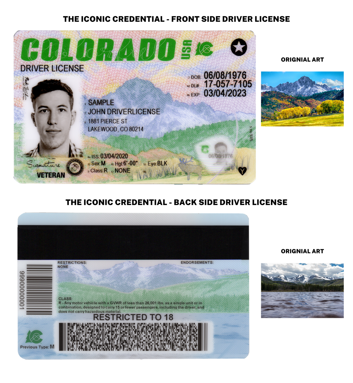 New look: DMV unveils new driver's license design