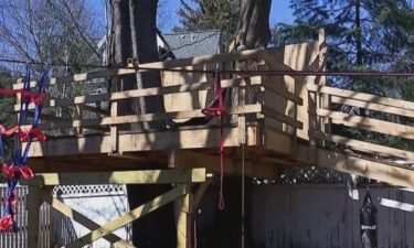 Neighbors are involved in a controversy over a backyard treehouse in a New Hampshire city.
