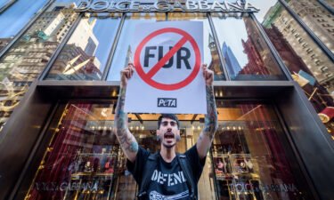 Dolce & Gabbana has joined a growing list of fashion houses to ban animal fur. A protester is shown here outside a Dolce & Gabbana store in New York City in 2019.