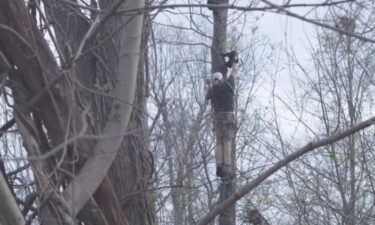 Wildlife Conservation Technician Ryan Luckadoo is being credited with saving an Asheville