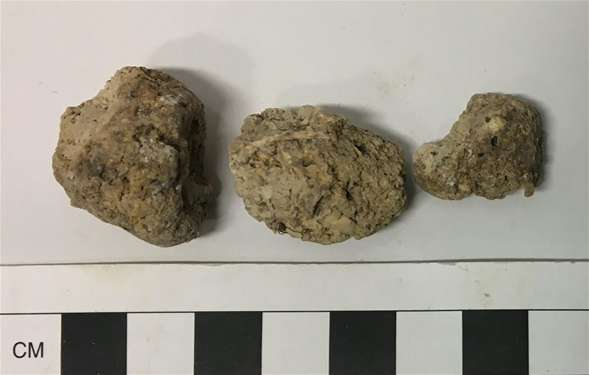 <i>Lisa-Marie Shillito/University of Cambridge</i><br/>Ancient human poop was unearthed from Durrington Walls