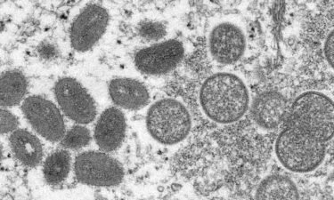 This 2003 electron microscope image made available by the Centers for Disease Control and Prevention shows mature