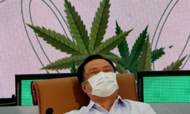 The Thai government will distribute one million free cannabis plants to households across the nation in June to mark a new rule allowing people to grow cannabis at home