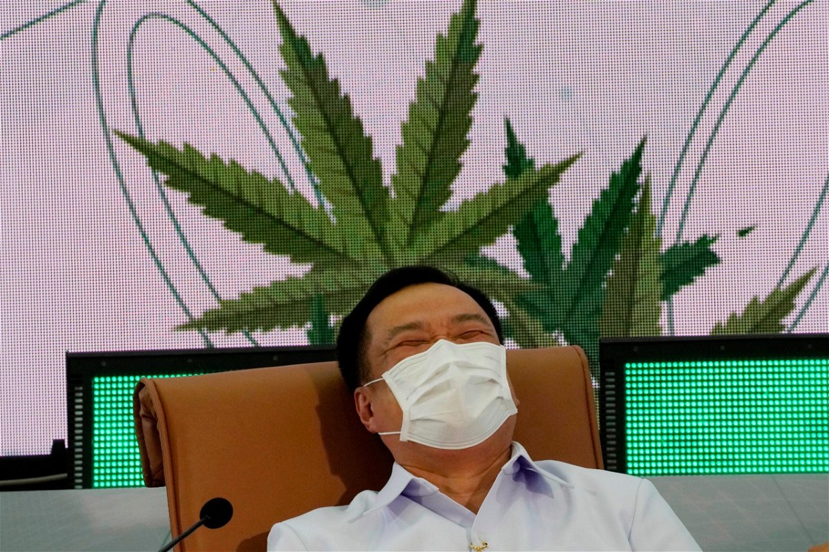 <i>Sakchai Lalit/AP</i><br/>The Thai government will distribute one million free cannabis plants to households across the nation in June to mark a new rule allowing people to grow cannabis at home