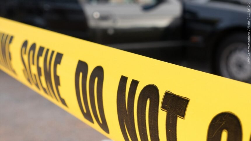 Colorado Springs Police Naked Man Arrested Following Car Break In Attempt Krdo