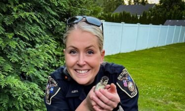 Bethel Fire and EMS said all of the ducklings were returned to their mother.