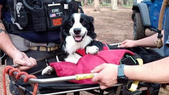 El Paso County SAR helps Roland down from hike