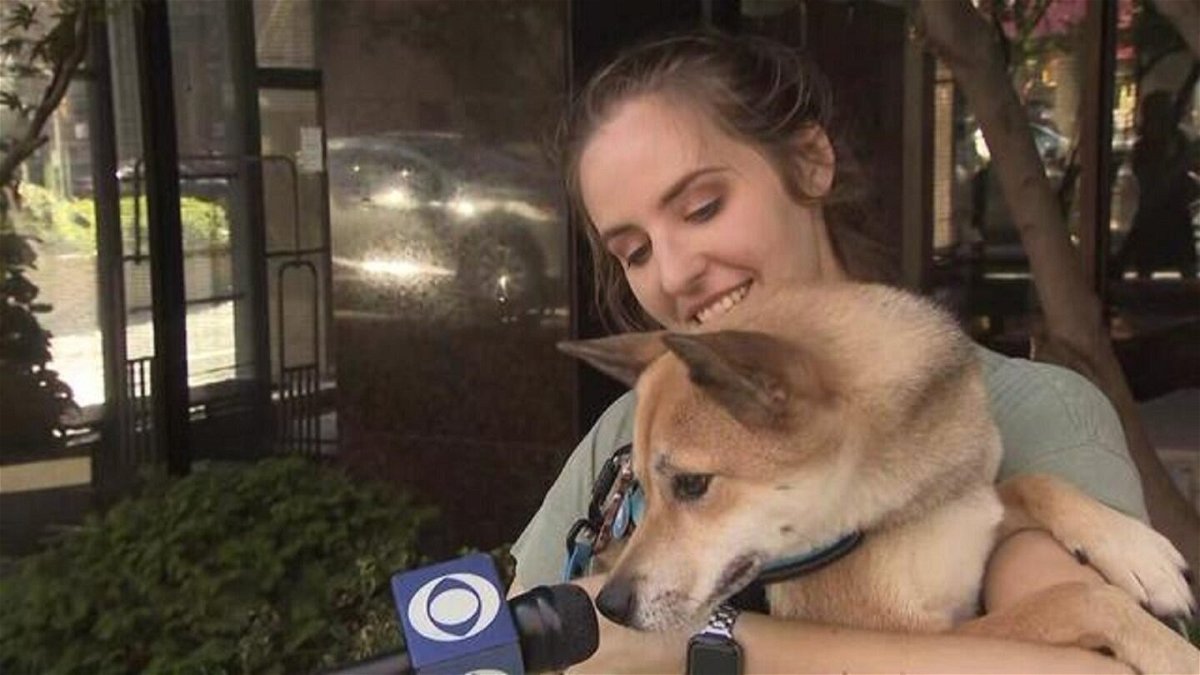 <i>WCBS</i><br/>Diane Leighton with her dog