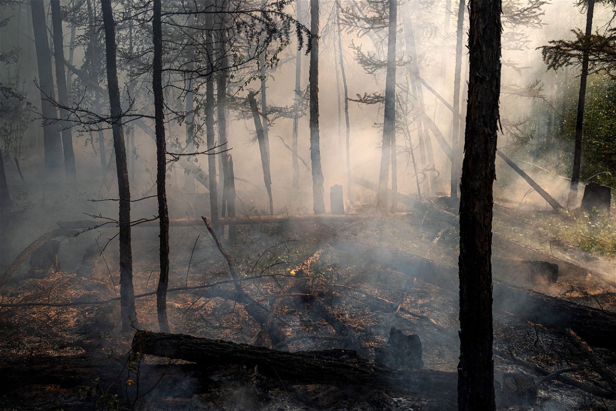 <i>Dimitar Dilkoff/AFP/Getty Images</i><br/>A forest fire is pictured here outside the village of Byas-Kyue in Siberia in 2021.
