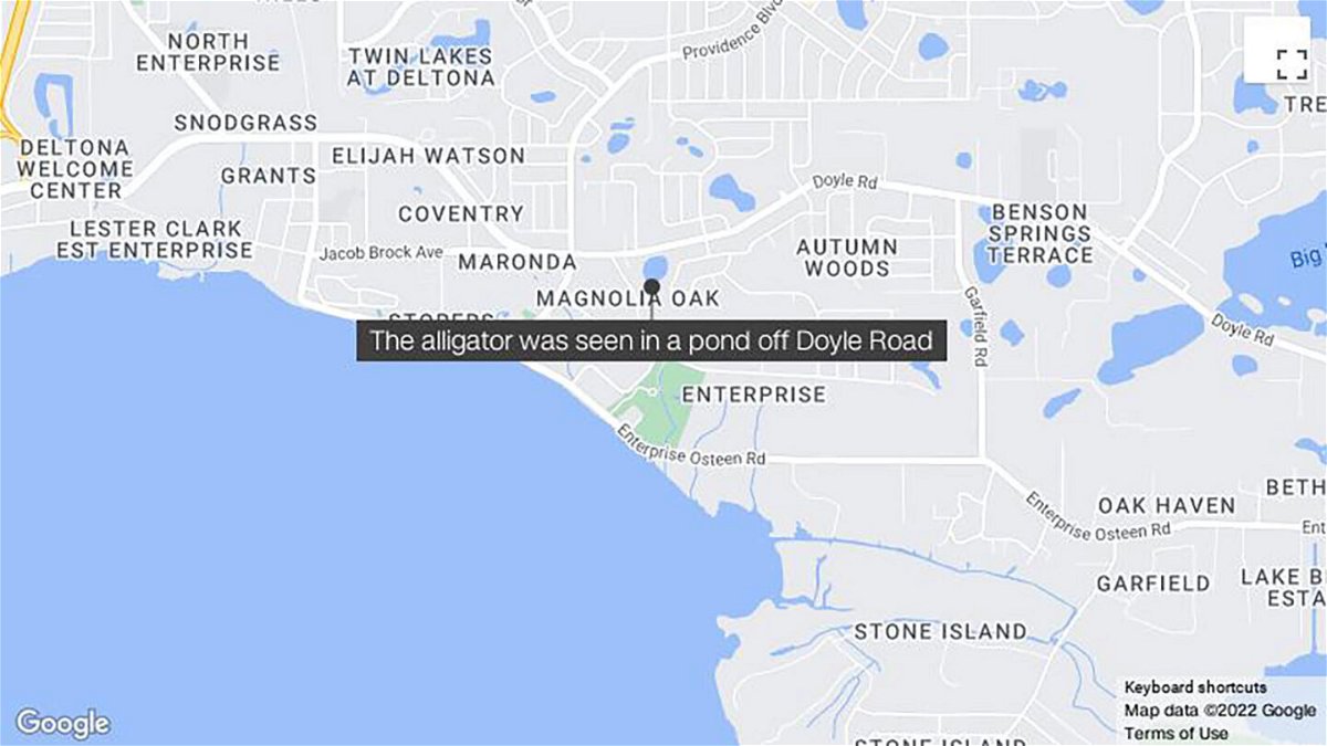 <i>google</i><br/>Passerby reported an alligator to authorities after spotting the injured animal swimming in a pond behind a Subway restaurant in Deltona