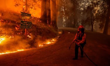 A firefighter monitors flames from the Mosquito Fire in Placer County