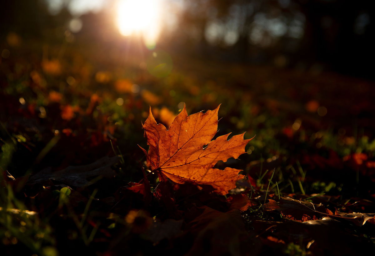 How the Northeast's extreme drought could spoil this year's fall colors ...