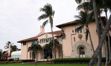 The special master overseeing the Mar-a-Lago documents investigation has ordered former President Donald Trump's lawyers to back up out-of-court assertions that the FBI may have planted evidence at the property during their search last month.