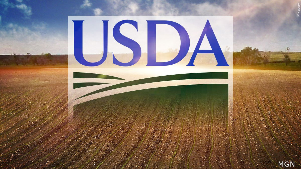 USDA begins providing relief to thousands of farmers with operations at