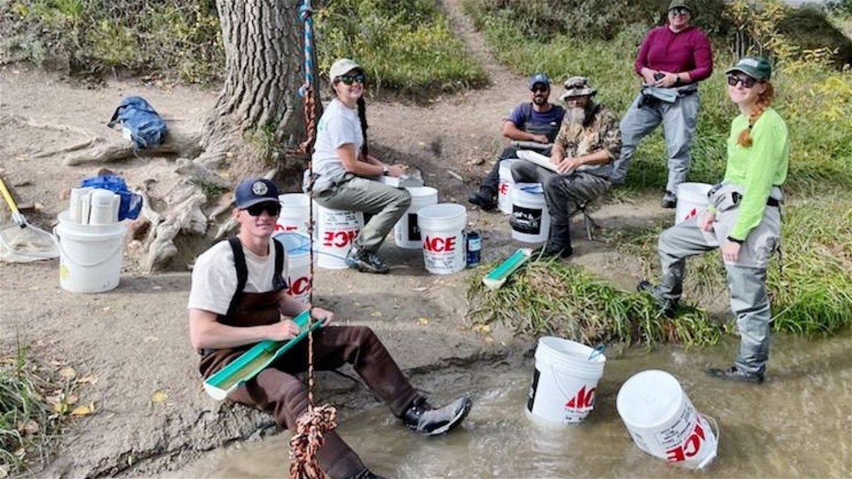 Aquatic biologists conduct survey of Fountain Creek