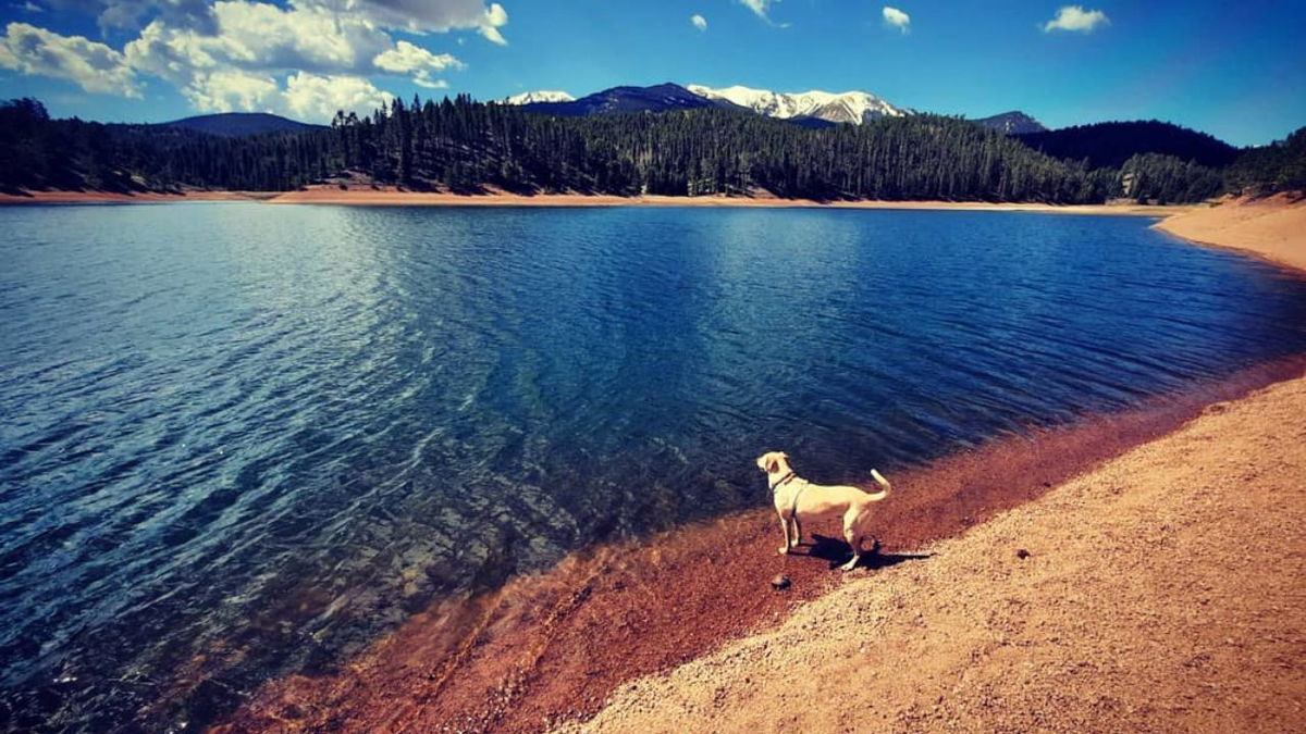 The South Catamount Reservoir in the North Slope Recreation Area. 