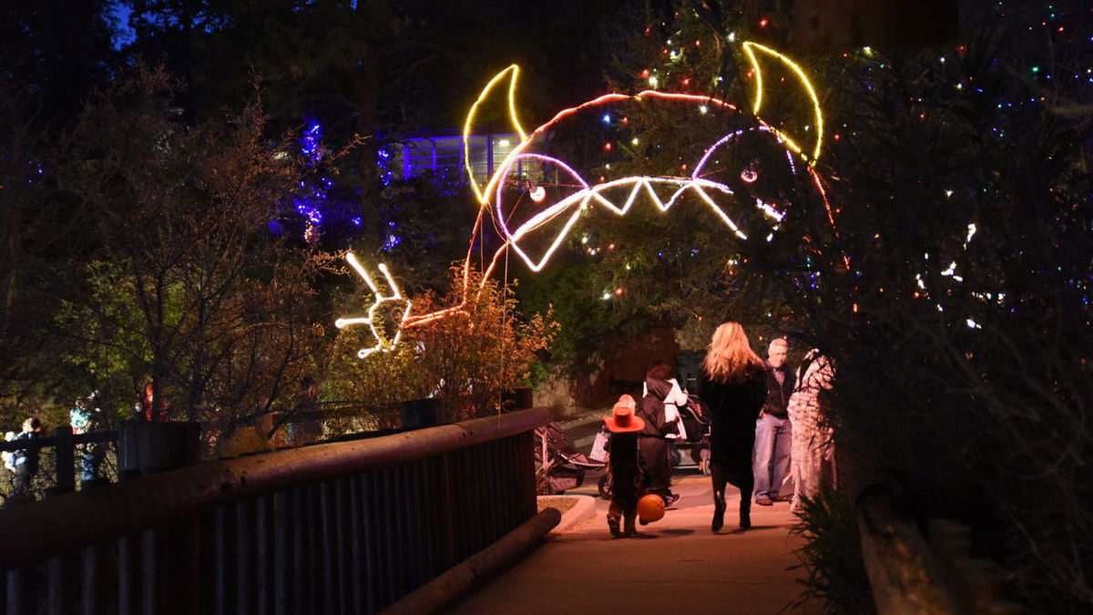 Cheyenne Mountain Zoo Sees Big Turnout For Boo At The Zoo KRDO   XNZ5vIn6 Untitled Design 28 