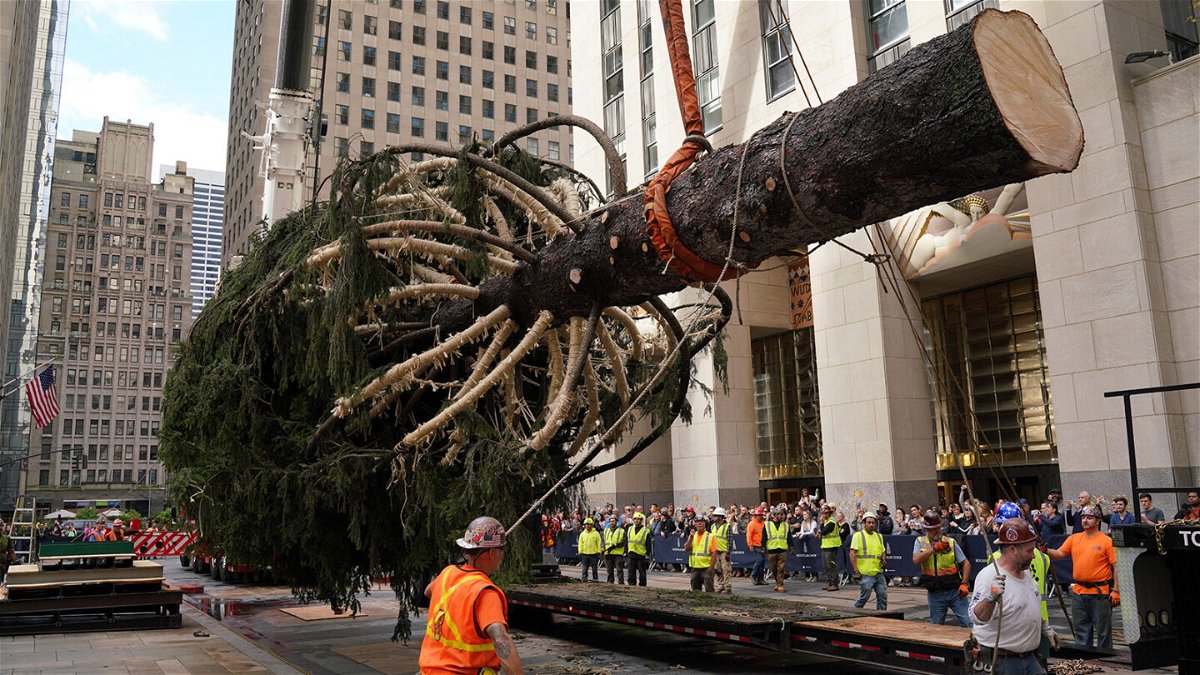 <i>Lokman Vural Elibol/Anadolu Agency/Getty Images</i><br/>This year's tree arrived in Rockefeller Plaza on November 12. It's an 82-foot-tall Norway spruce.