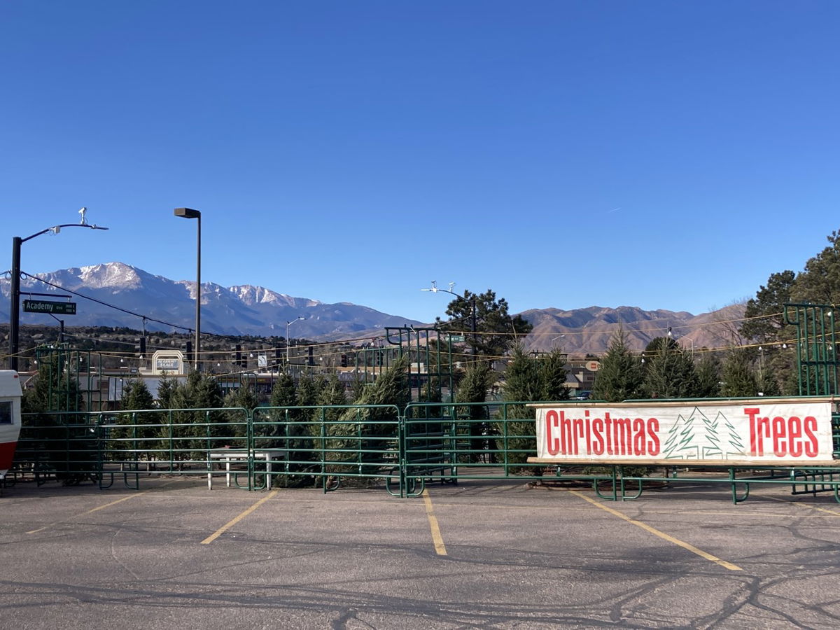 How Colorado Springs Christmas tree farms are dealing with rising costs