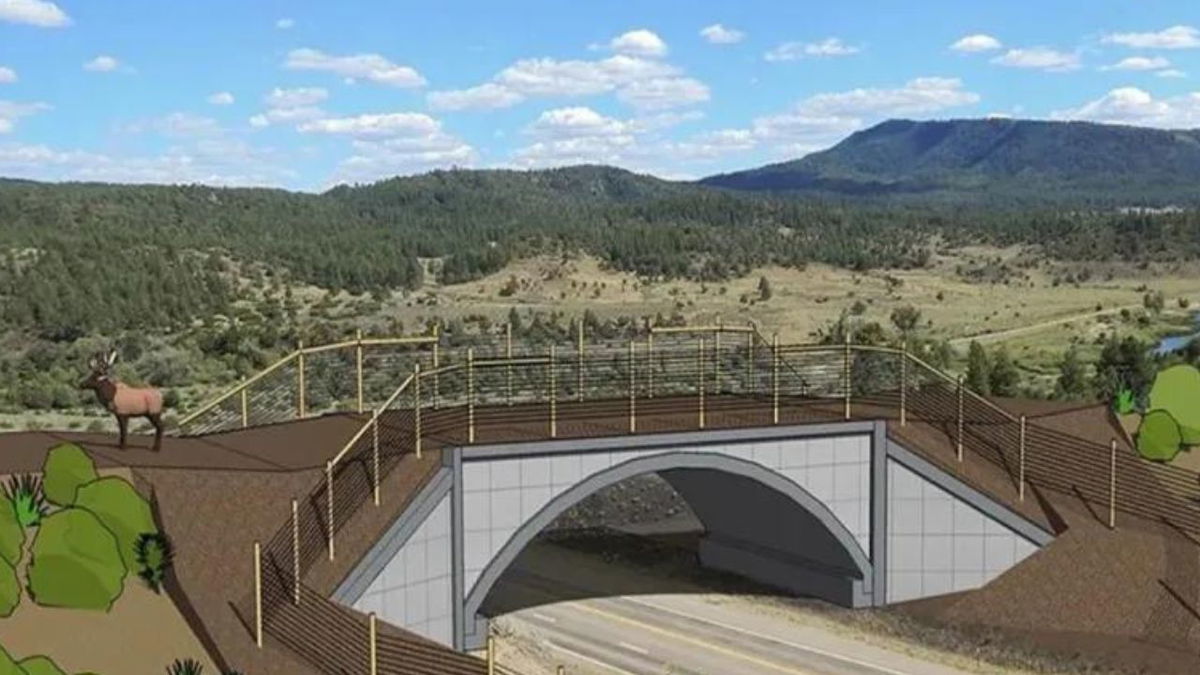 Illustration of a wildlife overpass