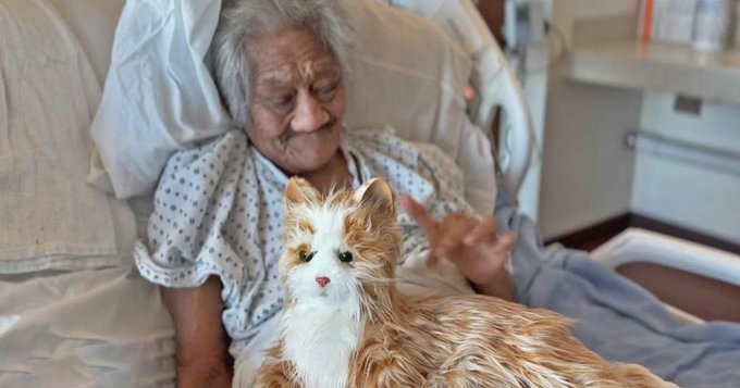 Robot cat for store elderly