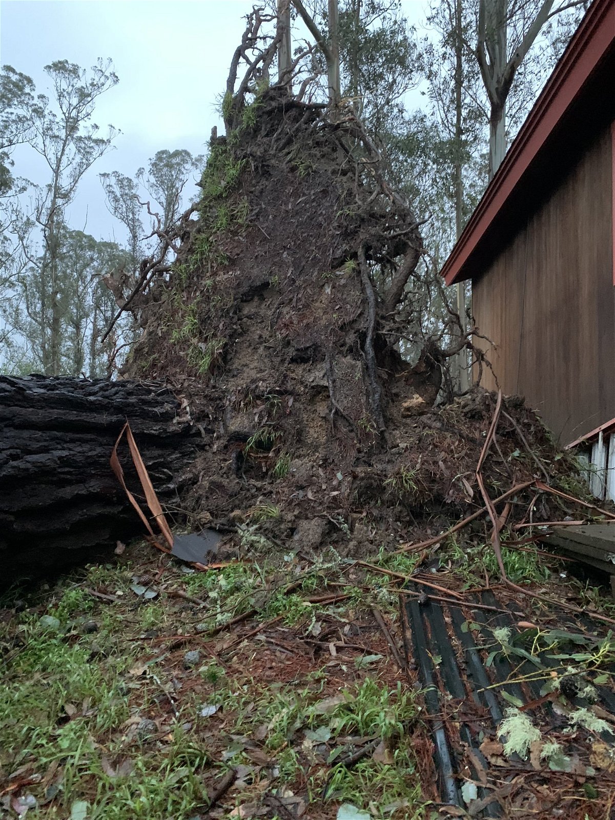 <i>Cal Fire CZU</i><br/>This image shows damaged a downed tree in the El Granada area of the San Mateo County.