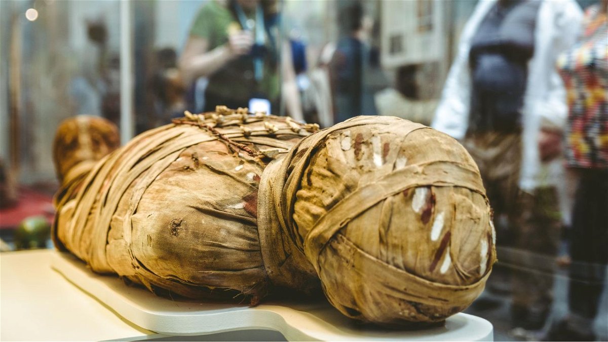 The British Museum wants to emphasize that mummified remains were once living people.
