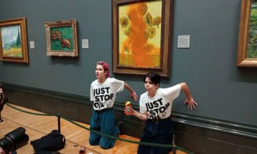 Climate protesters hold a demonstration as they throw cans of tomato soup at Vincent van Gogh's "Sunflowers" at the National Gallery in London