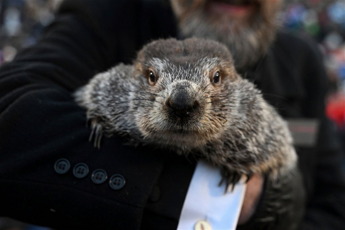 Groundhog Club handler A.J. Dereume holds Punxsutawney Phil, the weather prognosticating groundhog, during the 137th celebration of Groundhog Day on Gobbler's Knob in Punxsutawney, Pa., Thursday, Feb. 2, 2023. Phil's handlers said that the groundhog has forecast six more weeks of winter. (AP Photo/Barry Reeger)