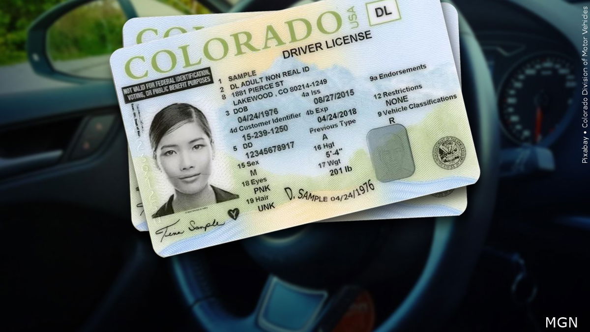 Colorado DMV Experiencing Statewide Outage KRDO   MGN 1280x720 90322B00 RRXXM 