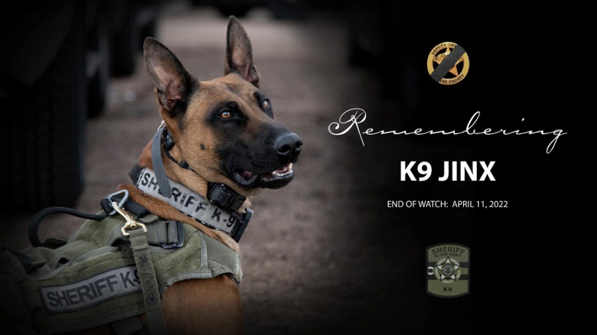 El Paso Co. Sheriff's Office holds remembrance ceremony for K9 Jinx year  after his death | KRDO